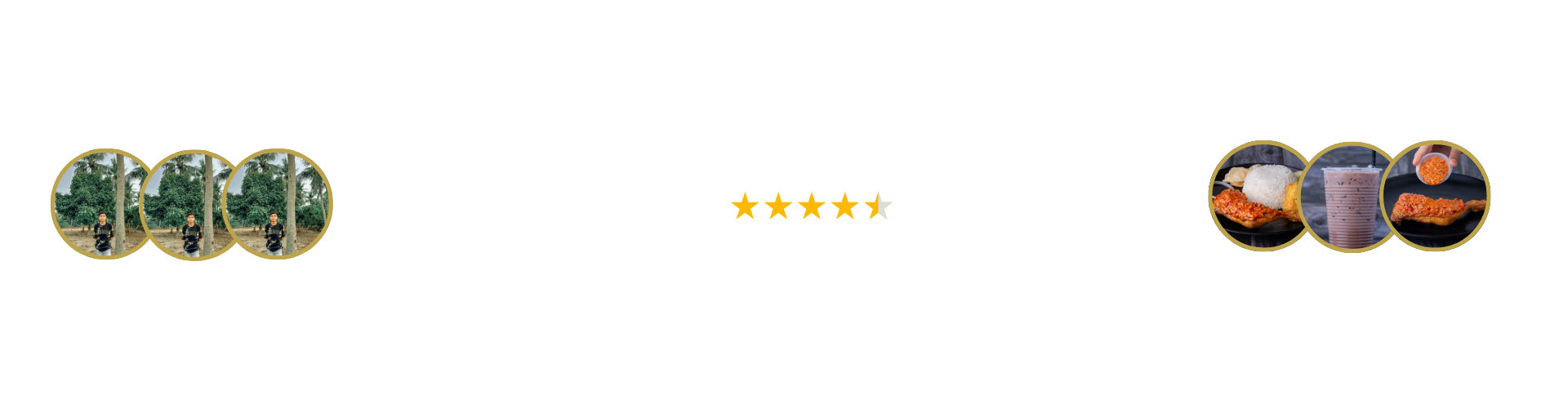 500+ Review All Platform